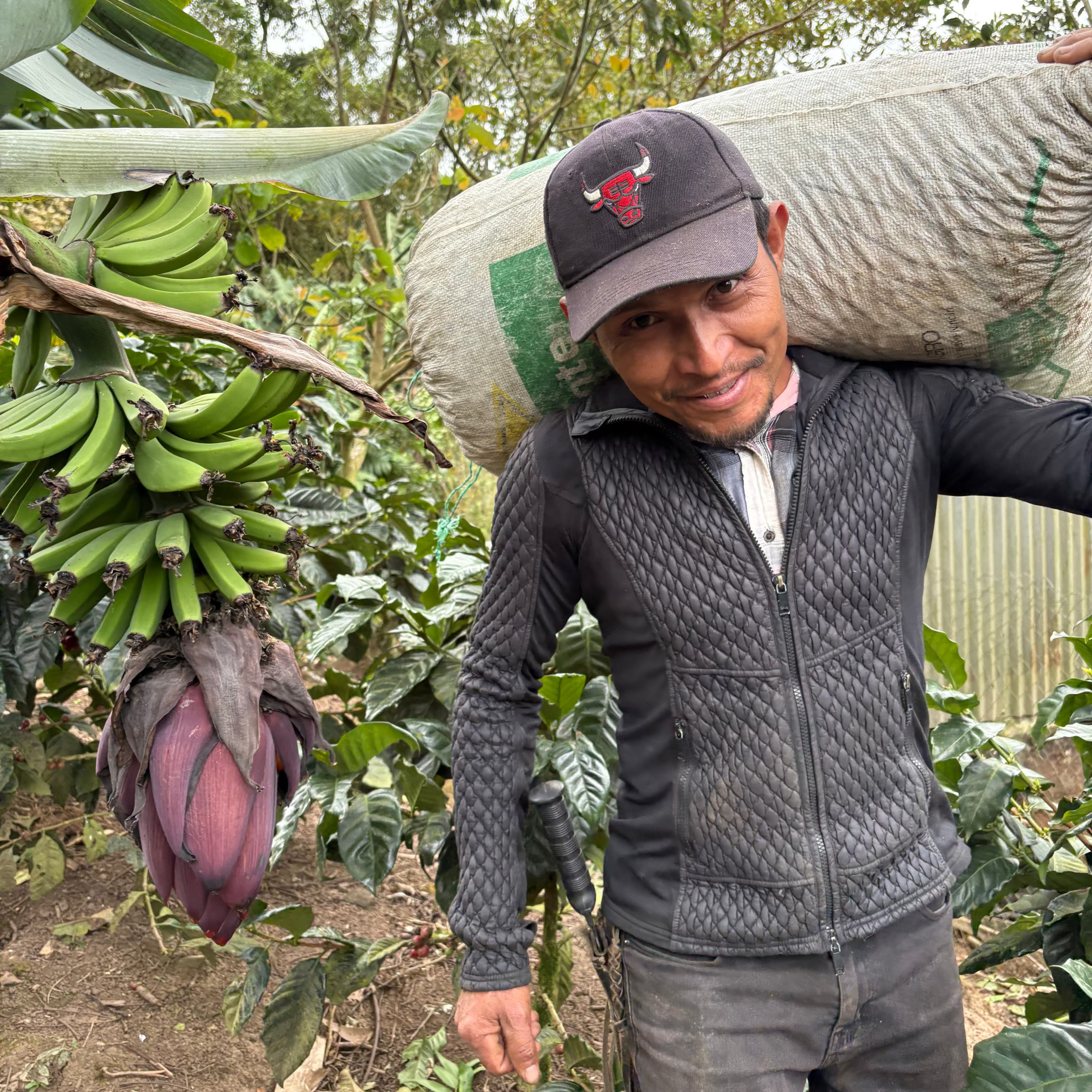 Nicaragua - Ixil Borter-Torrez - Natural