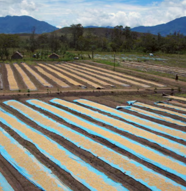 Papua New Guinea - Lahamenegu Mill