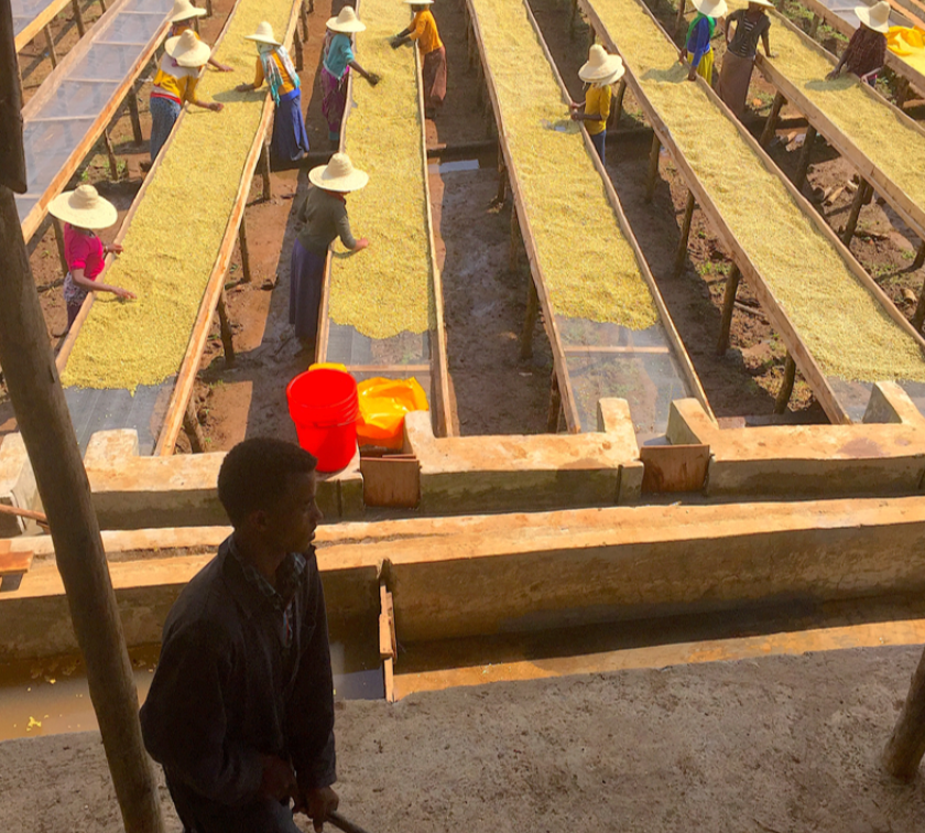 Ethiopia - Abana Estate (natural)