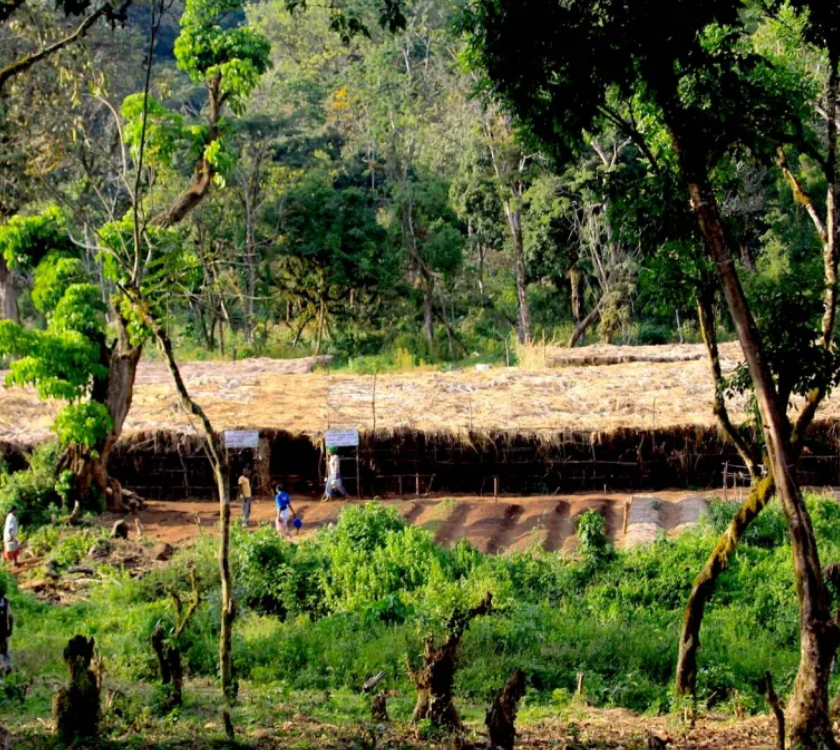 Ethiopia - Abana Estate (washed)